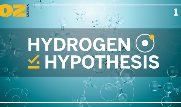 Hydrogen Hypothesis