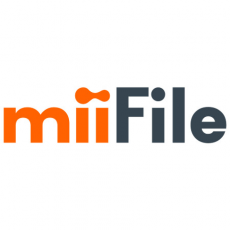 miiFile